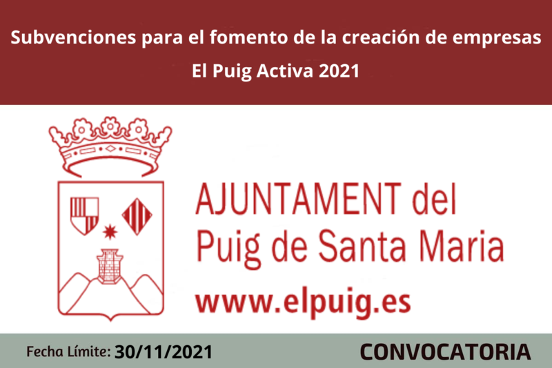 Ampliar imagen