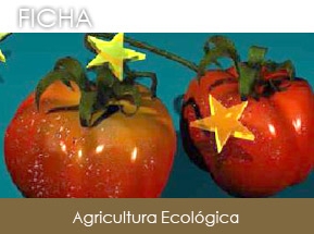 Agricultura ecol�gica