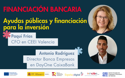 Ayudas pblicas y financiacin para la inversin. Financiacin bancaria