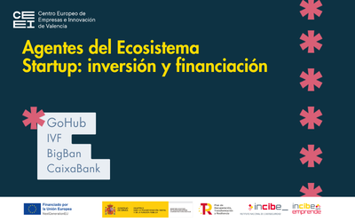 Visita inversin y financiacin