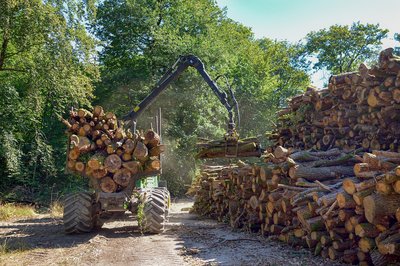 Alquiler de maquinaria forestal