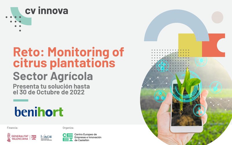 Reto: Monitoring of citrus plantations - reto