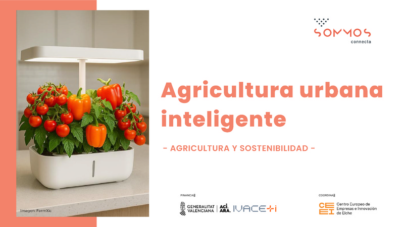 FarmXic, kits de cultivo urbano sin suelo