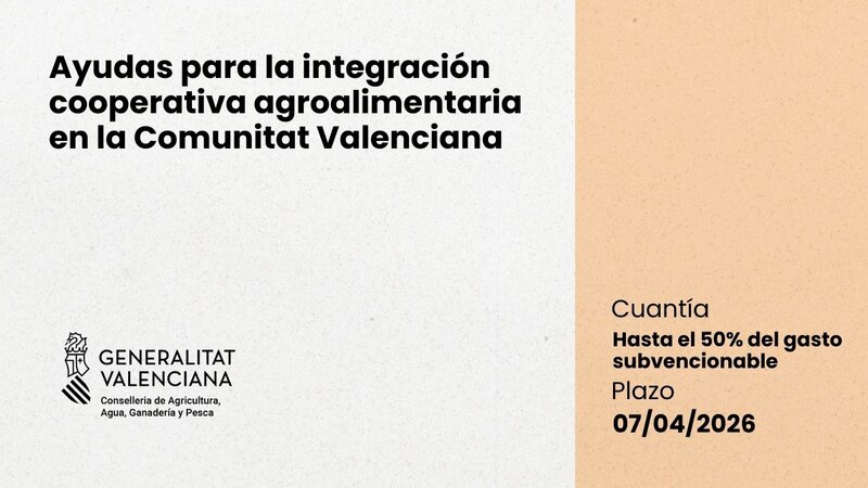 Ampliar imagen