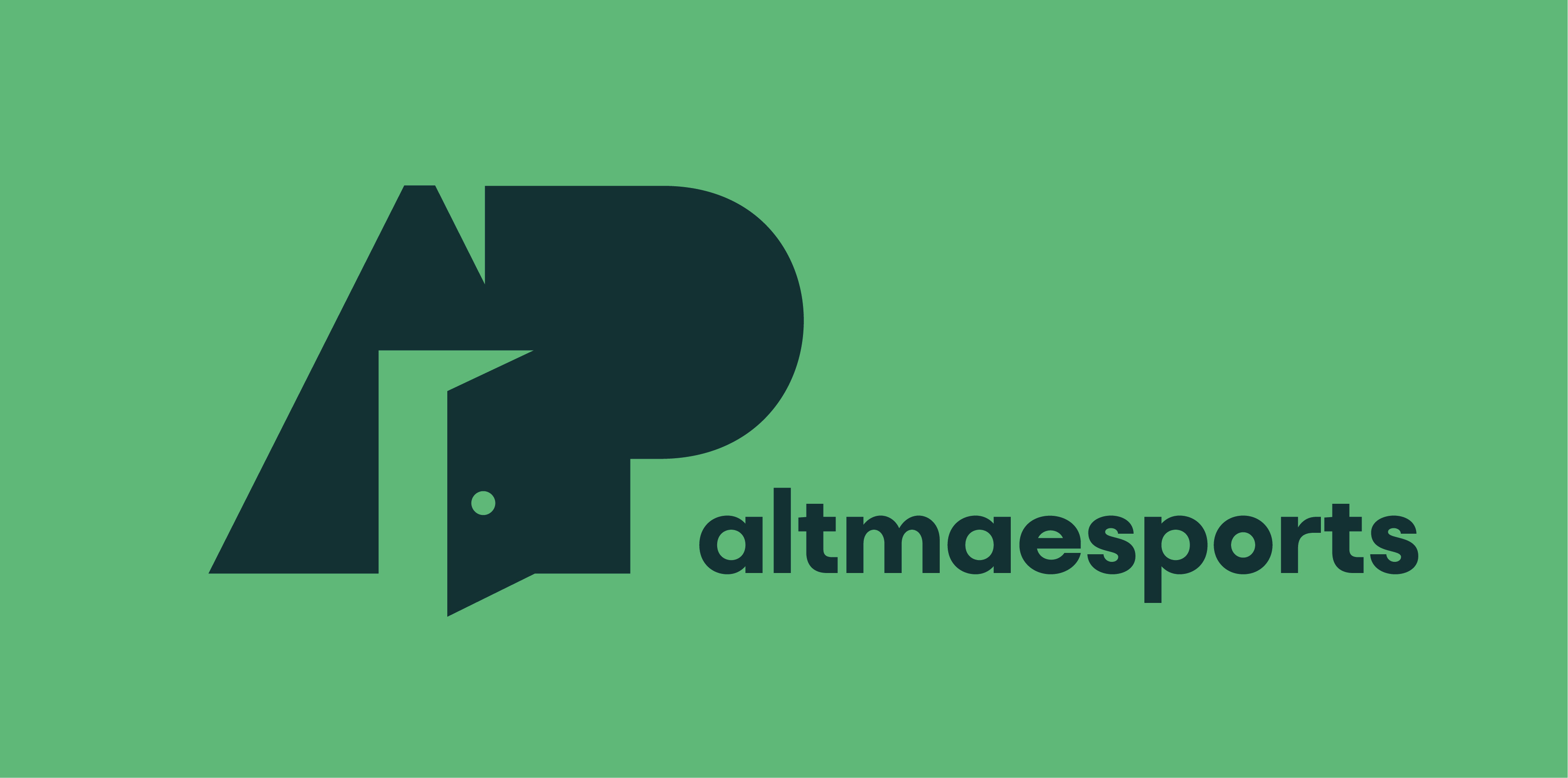ALTMAESPORTS LEADER