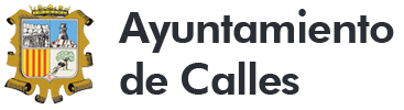 Ayuntamiento de Calles