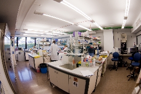 Laboratorio Valentia Biopharma, imgen