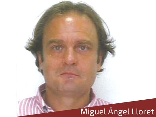 Ampliar imagen
