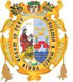 Logo Universidad San Marcos