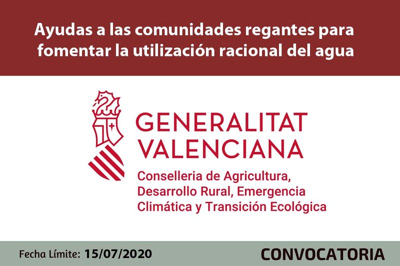 Ampliar imagen