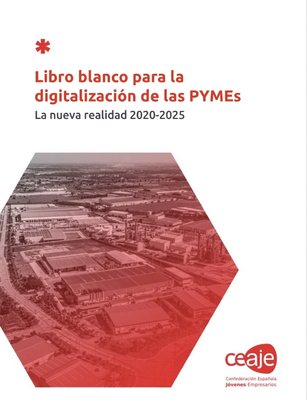 Libro Blanco para la Digitalizacin de la Pyme