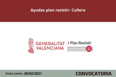 Bases convocatoria