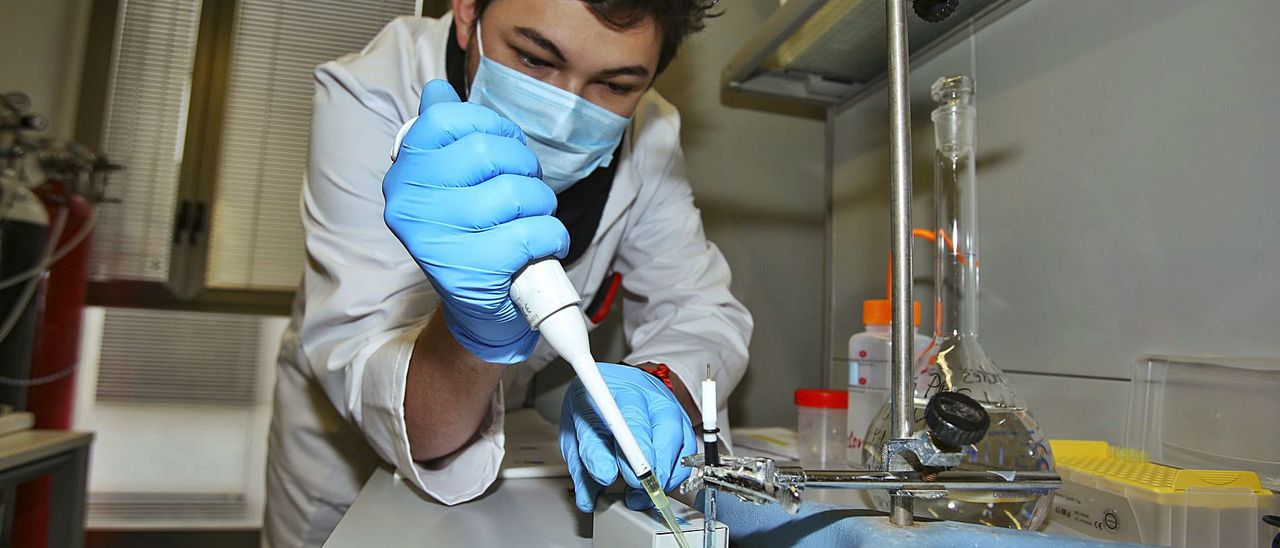 Microchips UA