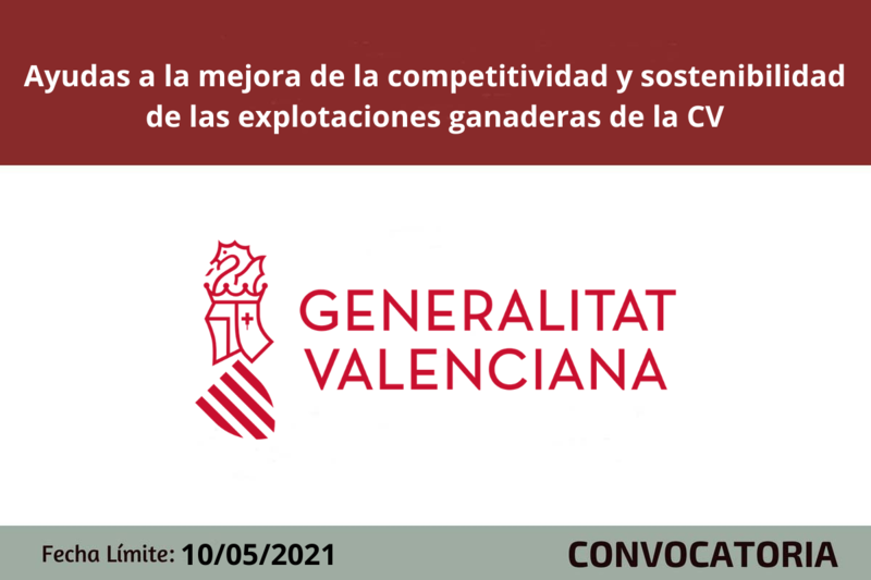 Ampliar imagen