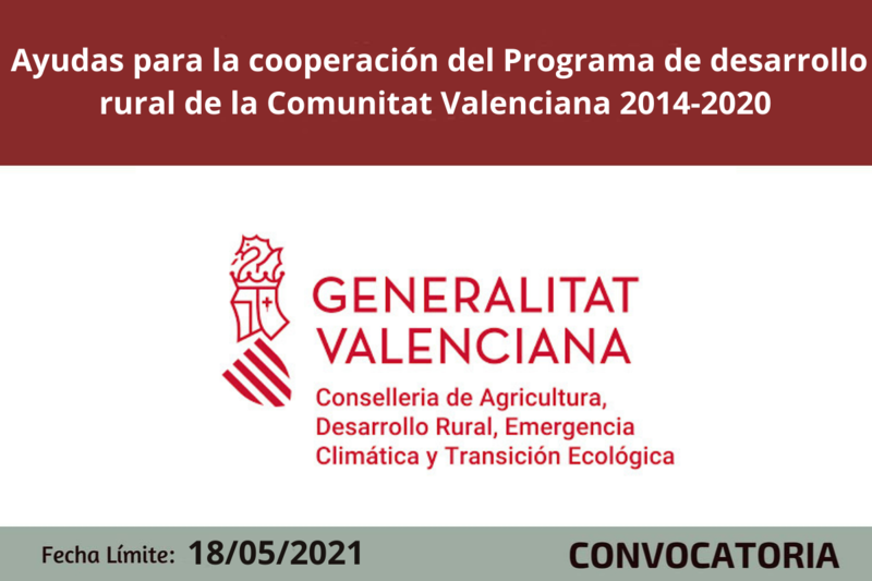 Ampliar imagen