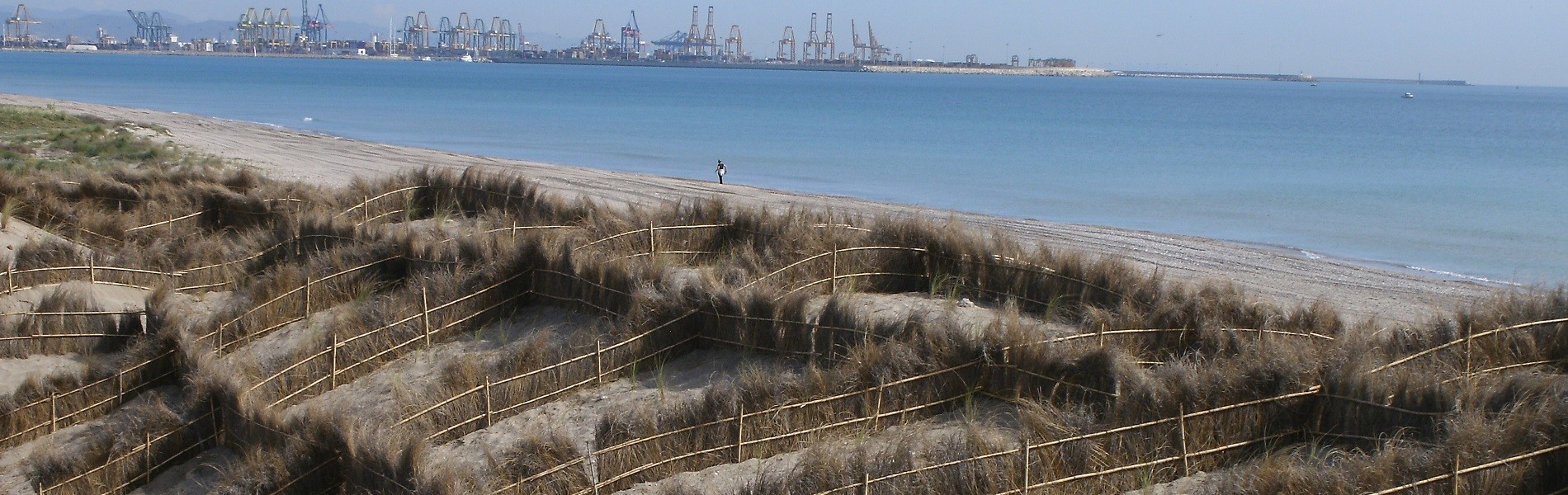 Ingeniería Avanzada de Obras Marítimas S.L.