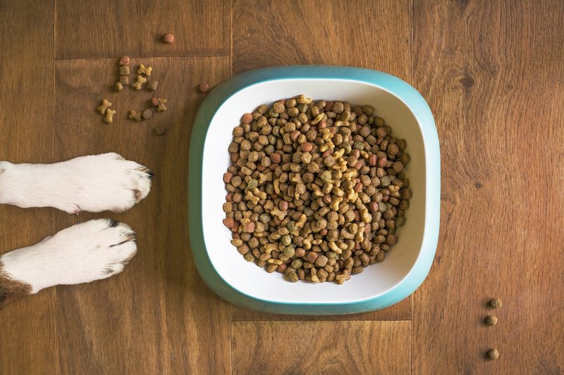 Alimentos que no son buenos para los perros